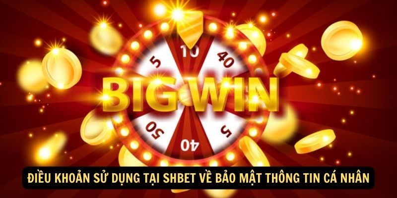 Điều khoản sử dụng tại Shbet về bảo mật thông tin cá nhân